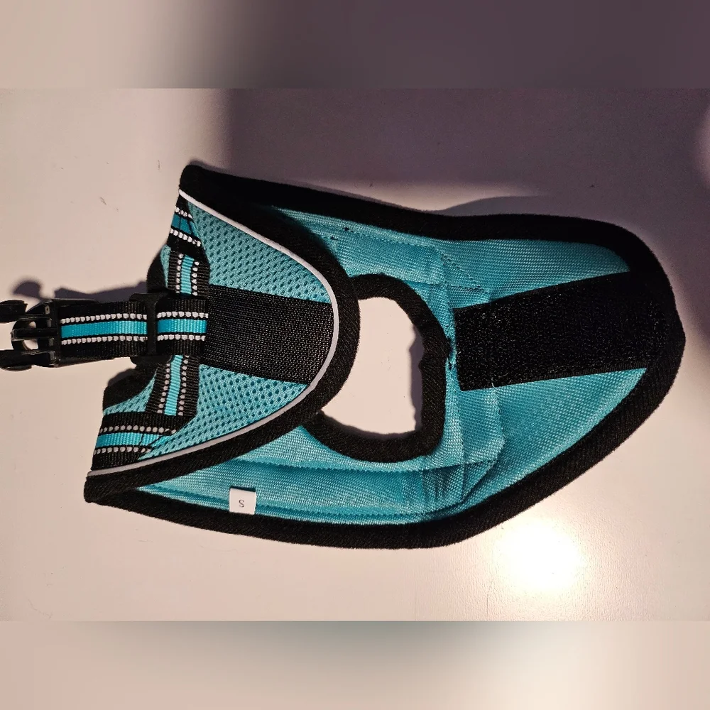 Small animal harness in teal with leash
